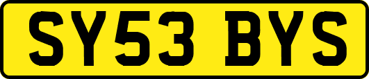 SY53BYS