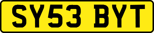 SY53BYT