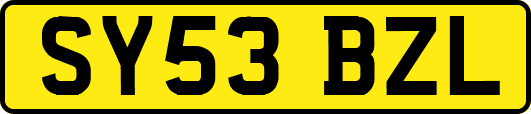 SY53BZL