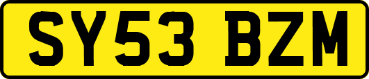 SY53BZM
