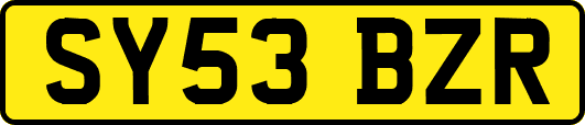 SY53BZR