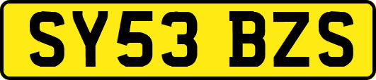 SY53BZS