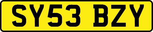 SY53BZY