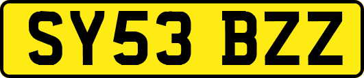 SY53BZZ