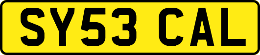 SY53CAL