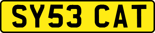 SY53CAT