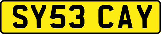 SY53CAY