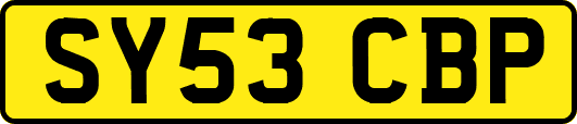 SY53CBP