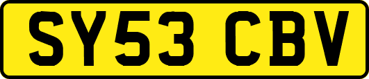 SY53CBV