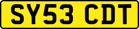 SY53CDT