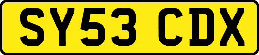 SY53CDX