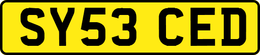 SY53CED