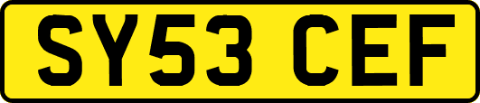SY53CEF