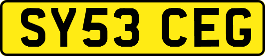 SY53CEG