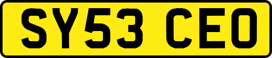 SY53CEO