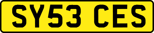 SY53CES
