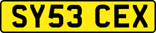 SY53CEX