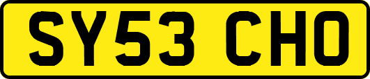 SY53CHO