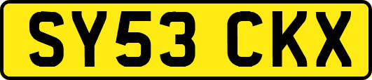 SY53CKX