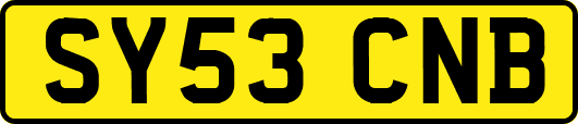 SY53CNB