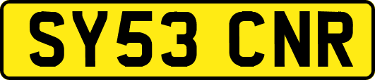 SY53CNR
