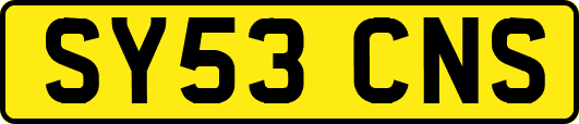 SY53CNS