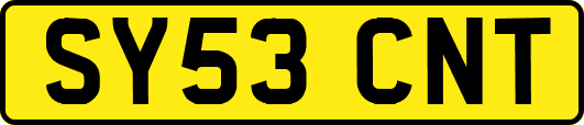 SY53CNT
