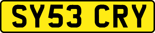 SY53CRY