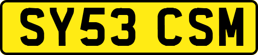SY53CSM
