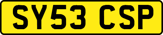 SY53CSP