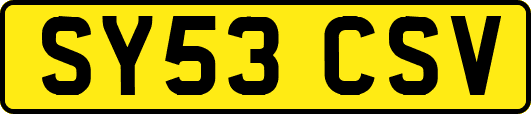 SY53CSV