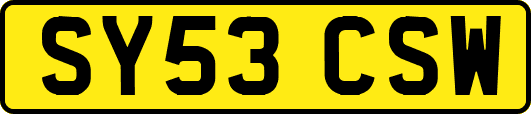 SY53CSW