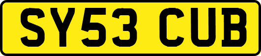 SY53CUB