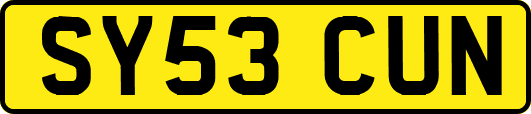 SY53CUN