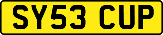 SY53CUP