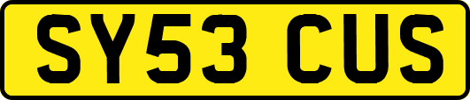 SY53CUS