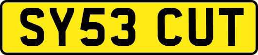 SY53CUT