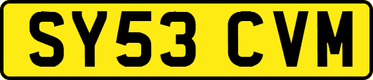 SY53CVM