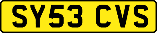 SY53CVS