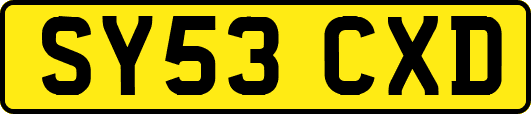 SY53CXD
