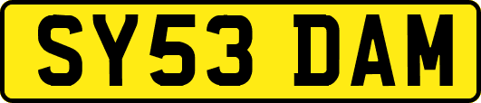 SY53DAM