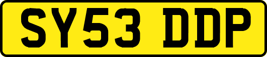 SY53DDP