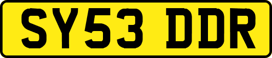 SY53DDR