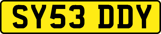 SY53DDY
