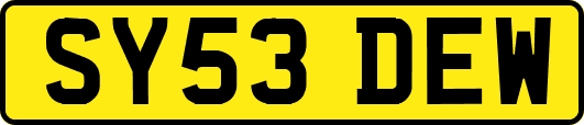 SY53DEW