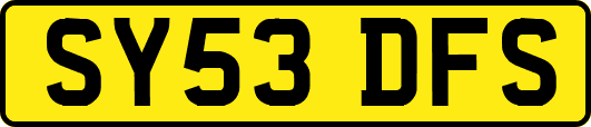 SY53DFS