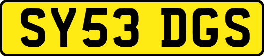 SY53DGS