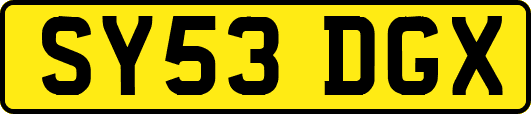 SY53DGX