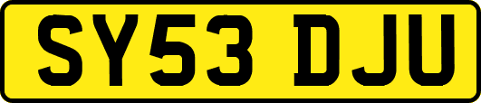 SY53DJU