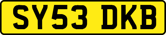 SY53DKB